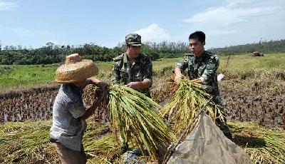 “海鷗”過境之后——記者探訪海南重災區
