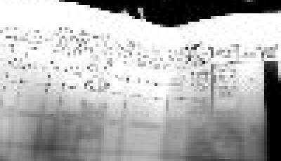 車輛3年違章900起被查獲 曾1小時連闖14個紅燈