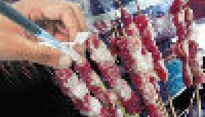 合肥大學(xué)生DNA鑒定羊肉串 66攤點(diǎn)僅2成真貨