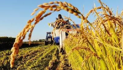 各地積極開(kāi)展城鄉(xiāng)衛(wèi)生環(huán)境整治 讓家園更宜居