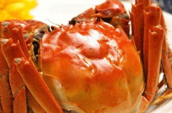 陽澄湖大閘蟹到底誰在管：三個協(xié)會關(guān)系緊張