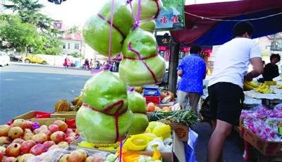 青島街頭現人參果 活似胖娃娃35元一個(圖)