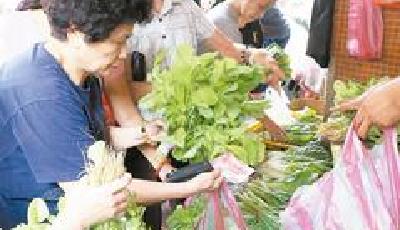 臺灣高麗菜因臺風漲價驚人 主婦抱怨：太離譜