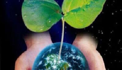 2016年建全國統一碳市場 金融機構忙入市