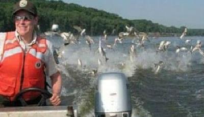 美專家赴華考察"亞洲鯉":非常歡迎中國人去吃魚