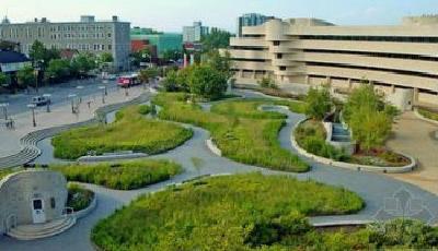 《青島市城市綠地設計規范》正式頒布實施