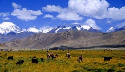 14名驢友穿越未開發禁區 一人因高原反應身亡