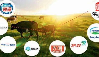 外資巨頭搶灘中國奶源地 業內警示或10年不賺錢