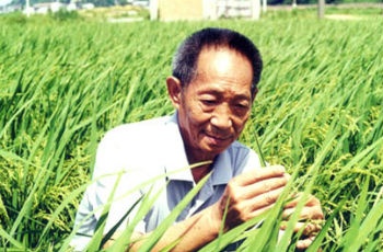 袁隆平成諾貝爾和平獎(jiǎng)熱門人選 回應(yīng)：沒(méi)那奢望