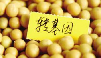 轉基因廣告戰或被叫停 食用油商戰回歸常態