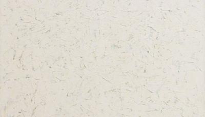 美國藝術家畫作幾乎完全空白 估價1.2億元(圖)