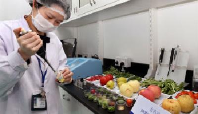 市食藥監(jiān)局多措施把市場關(guān) 牽住食品安全“牛鼻子”