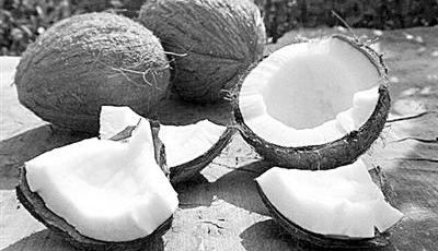 椰子可存儲氫氣用于制造新一代氫動力汽車