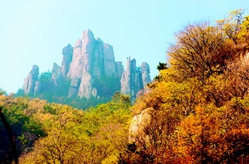 嶗山：層林盡染 楓葉流丹