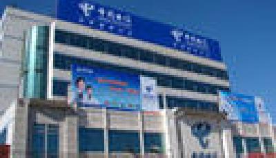 中電信明年4G重點覆蓋100城 感嘆中移動有錢