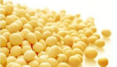 中糧兩上市公司巨虧逾13億 錯誤判斷大豆走勢