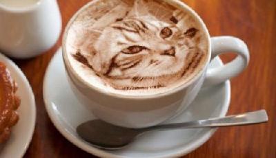 日本拿鐵拉花現(xiàn)逼真貓咪圖案 你還忍心喝嗎？