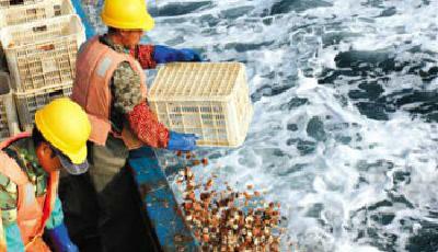 獐子島巨虧引發質疑不斷 公司稱受災原因有“科學依據”