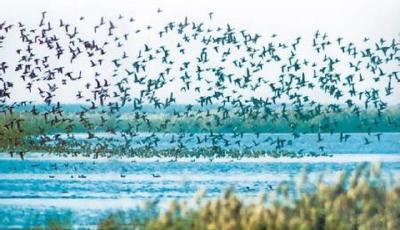 一個比房地產更大的經濟泡沫將席卷全中國