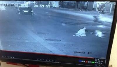 曝警察出警打野豬 誤擊中妙齡少女血流不止