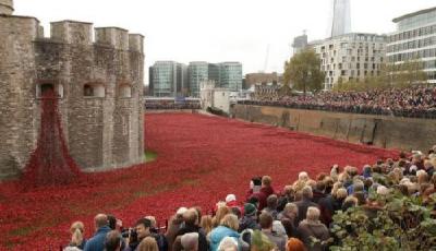 卡梅倫參觀紅色“罌粟花海” 贊嘆畫面壯觀