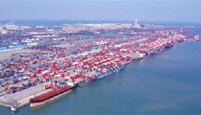 青島航運指數反映市場行情 將成行業“晴雨表”