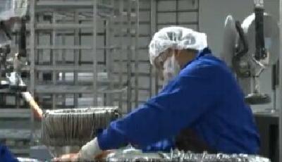 美國亞洲鯉泛濫 華裔商人將其速凍后遠銷中國