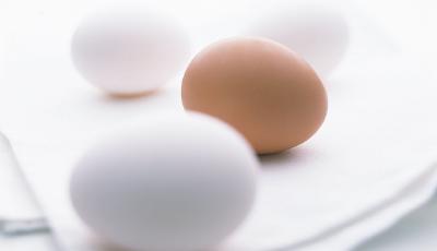 禽流感突襲雞蛋期貨 蛋價(jià)前期快速上漲積累風(fēng)險(xiǎn)
