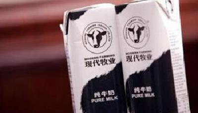 現(xiàn)代牧業(yè)陷“病牛”風(fēng)波 國內(nèi)淘汰牛流向屠宰場