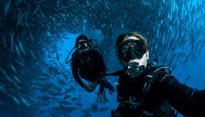 澳夫婦墨西哥潛水遇魚群“包圍” 景象震撼