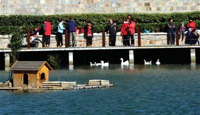 青島38個山頭建成新公園 成為居民休閑新去處