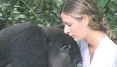 12年后再度重逢 英國女子與大猩猩深情相擁