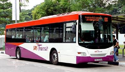 青島公交競標新加坡巴士經營權 系國內首家