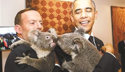 澳“考拉外交”萌翻G20