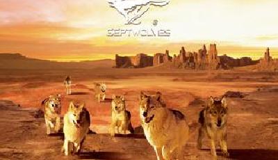 七匹狼推進公司戰(zhàn)略升級 擬3億元“玩”消費零售