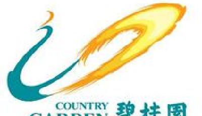 碧桂園擬推升級版"合伙人"計劃：員工可參股投資