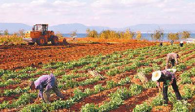 中央嚴格規范土地流轉 嚴防基層干部私相授受