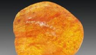 收藏琥珀：價格暴漲乃傳聞 造假升級無價值