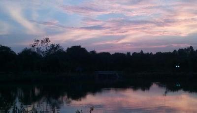 女子出國游絆倒受傷 旅行社被判賠3萬元