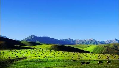 新疆發(fā)現(xiàn)價值600億元鉬礦 廣泛應(yīng)用軍工冶金領(lǐng)域