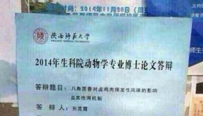 舌尖上的論文 博士8萬字論八角對鹵雞肉影響 