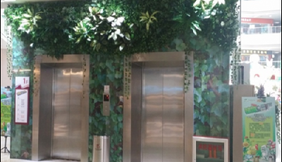 中澳合作首個電梯學院落戶高新區 填補青島空白