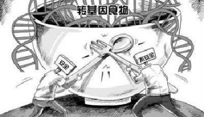 農業部否認濫種轉基因作物：只有棉花木瓜獲批種植