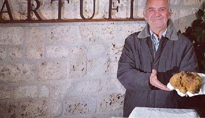 全球最大白松露拍出六萬美元 百萬美元欲購遭拒