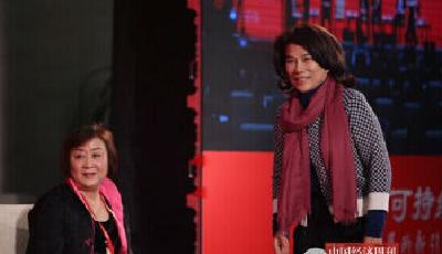 董明珠：“一晚一度電”廣告詞那就是吹