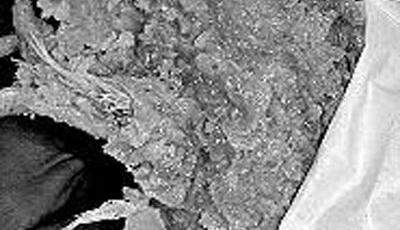 肯德基雞翅里吃出數(shù)根雞毛 餐廳推責(zé)供貨商