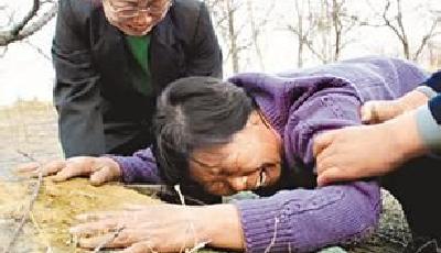 聶樹斌案律師今赴山東明將盡快申請查閱卷宗