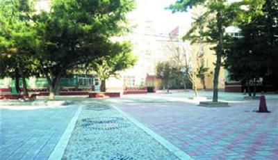 市南區投1.28億整治152個樓院房屋 涉及11個片區