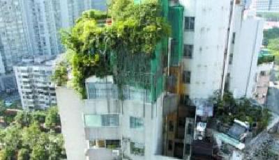 廣州海棠閣"大綠帽"沒摘 二沙島別墅"偷"擴建