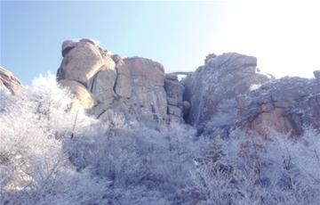 嶗山靈旗峰仙天橋 "雪樹銀花"